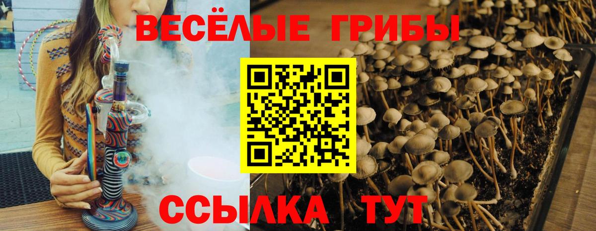 Псилоцибиновые грибы Magic Shrooms Севастополь