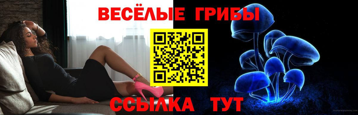 Галлюциногенные грибы мицелий  Галлюциногенные грибы Magic Shrooms  Севастополь  Вход с VPN 